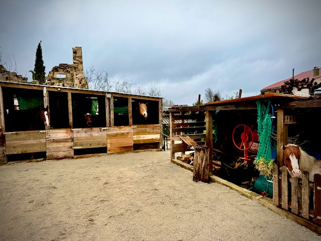 Horse stables