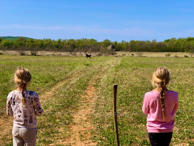 Kršuli surroundings